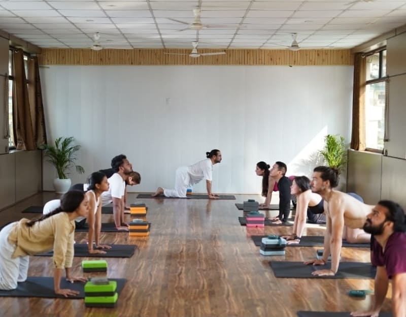 Best yoga Retreat in rishikesh